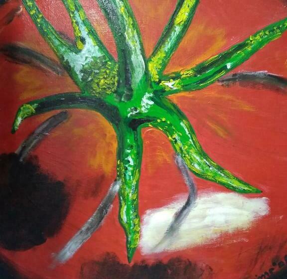 بنسيون Cantarelladieci