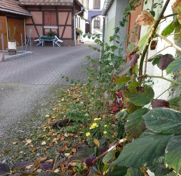 بنسيون Gites Petermann