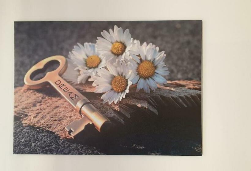 بنسيون Giusy And Rose