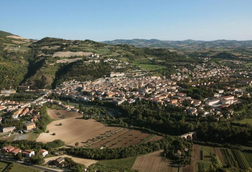 膳宿费 Il Cavallino