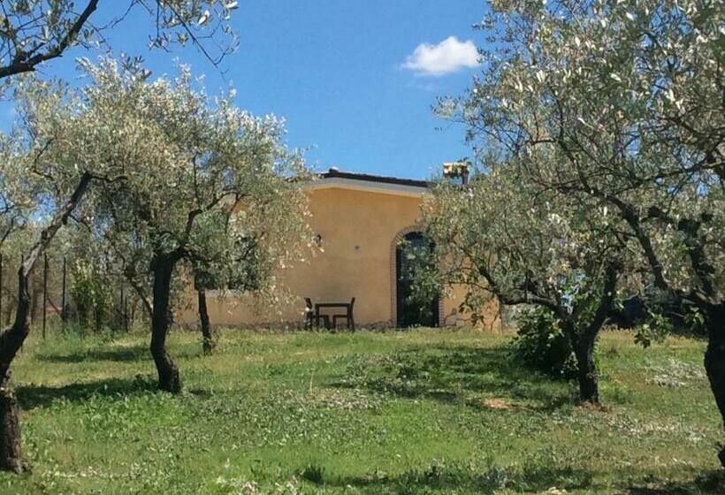 ペンション Il Girasole B&b