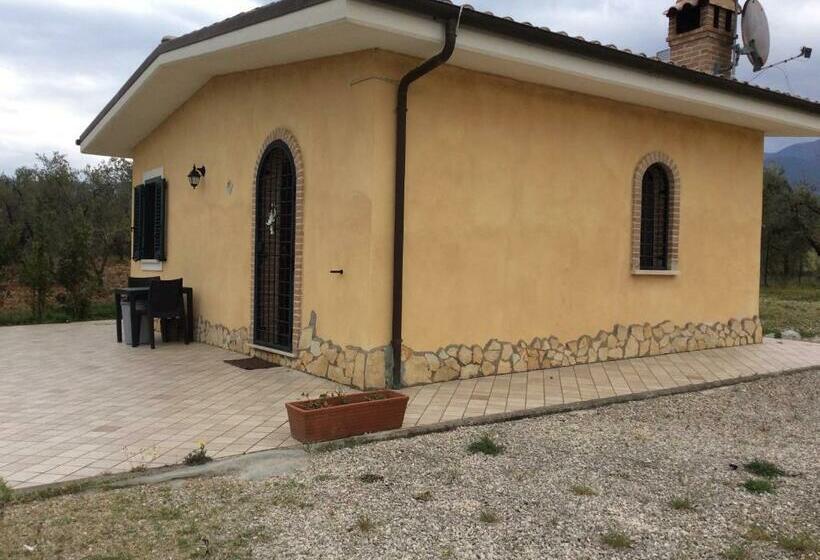 ペンション Il Girasole B&b