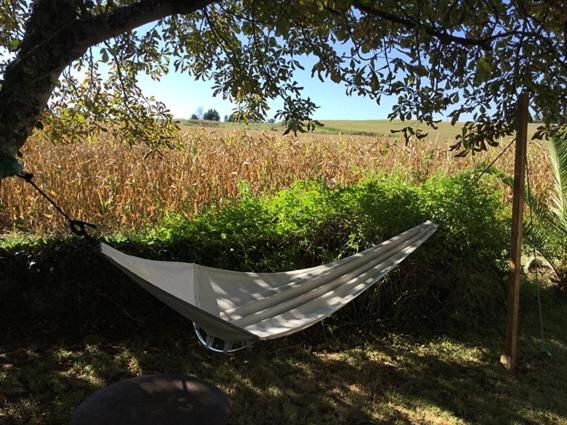 بنسيون In The Heart Of Artists S House