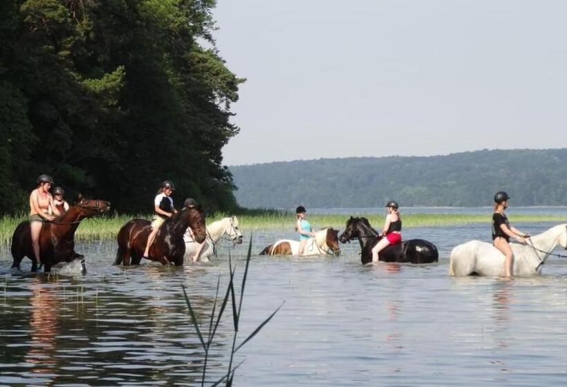 Пансион Landhof Zur Meierei