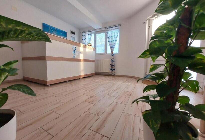 膳宿费 Seahorse Guesthouse