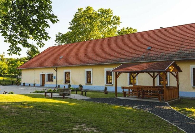 Пансион Tolnay Kúria és Vendégház