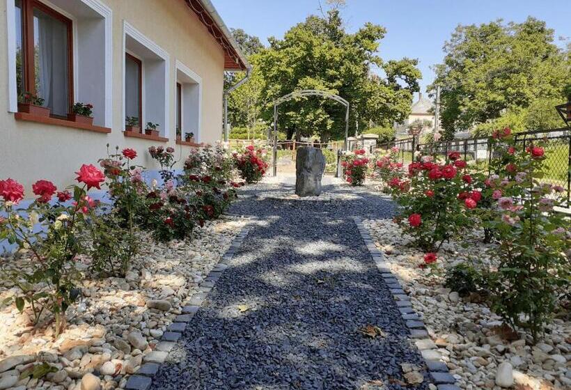 Пансион Tolnay Kúria és Vendégház