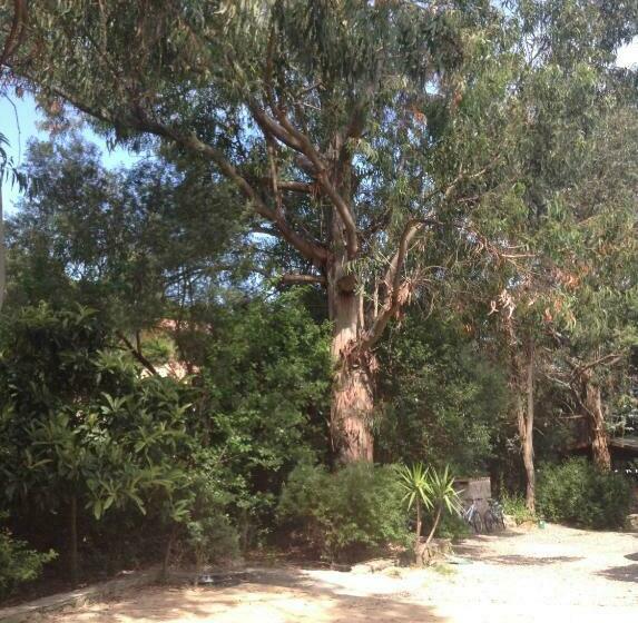 펜션 Villa Trou Aux Biches