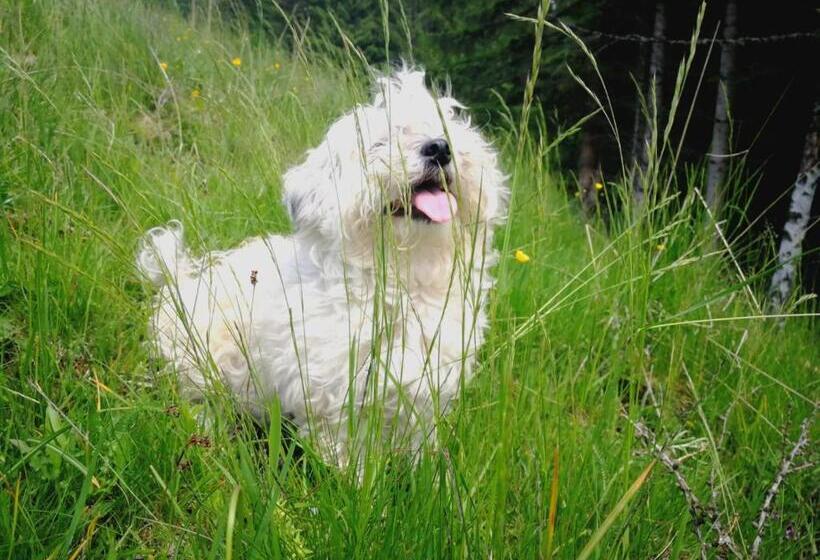 Pension Katharina,tierfreundlich, Frühstück Ab 5 Uhr Früh