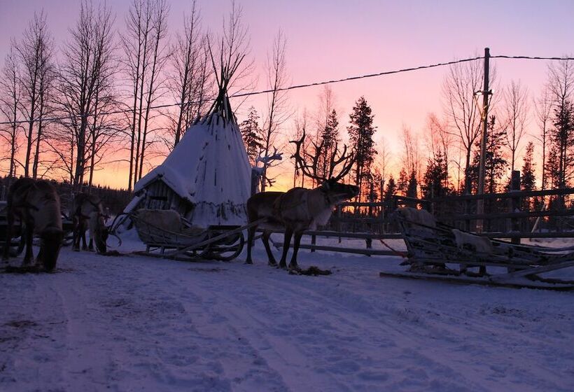 渡假胜地  Reindeer Manor Levi