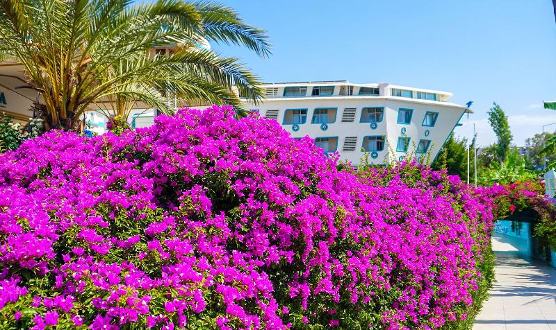 리조트 Daima Biz Hotel   Dolusu Aquapark Access