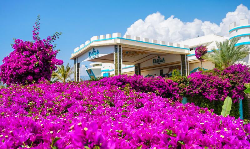 리조트 Daima Biz Hotel   Dolusu Aquapark Access