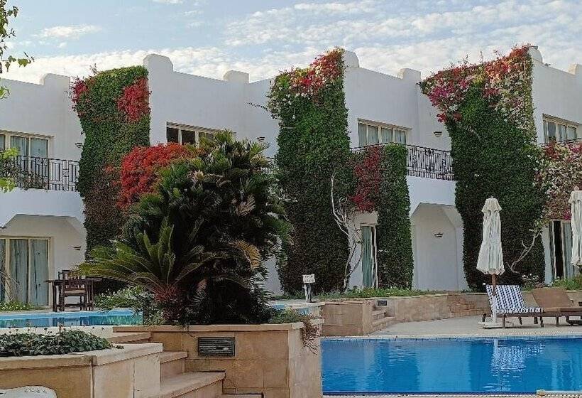 Eden Rock Hotel Namaa Bay