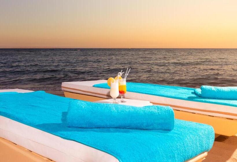 ホテル Ali Baba Palace