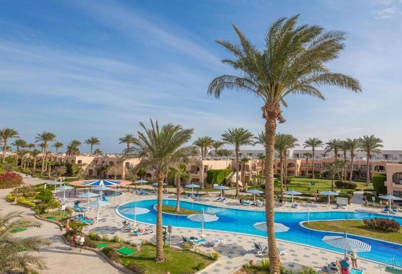 ホテル Ali Baba Palace