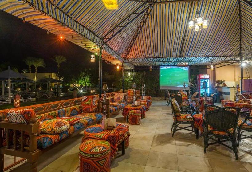 ホテル Ali Baba Palace