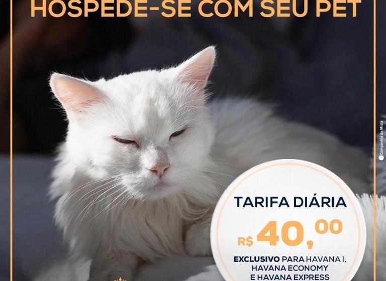 ホテル Havana Palace