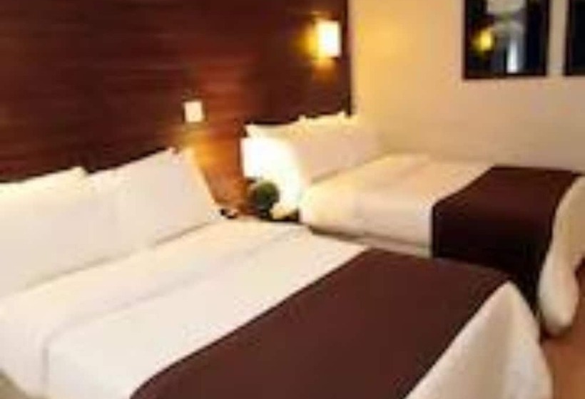 Отель Oasis Tower