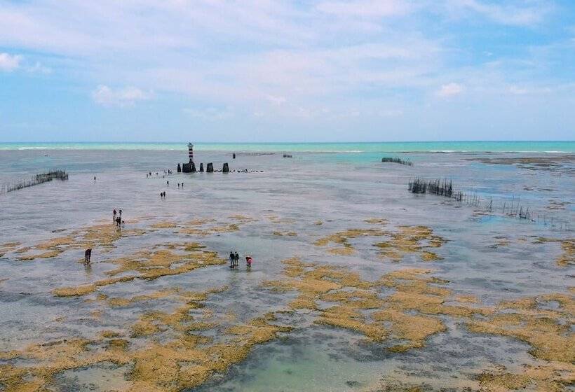 ホテル Palms Ponta Verde By Tropicalis