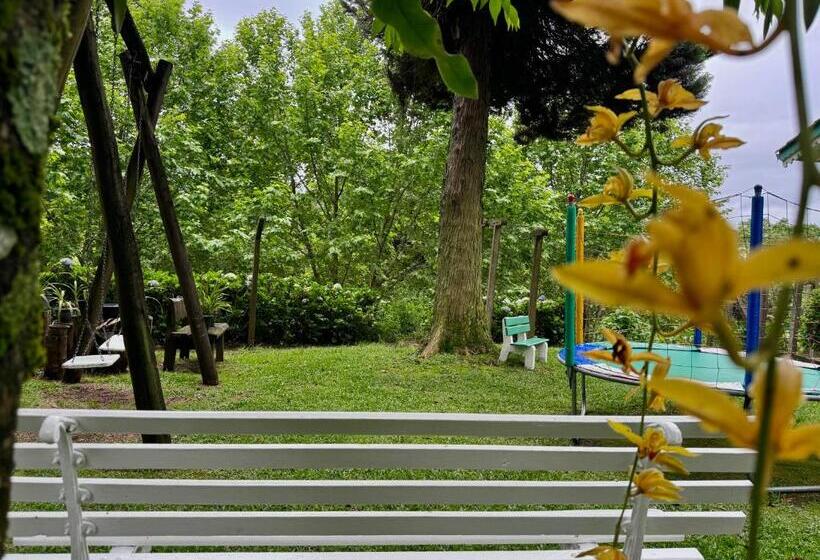 호텔 Pousada Ald' Mama