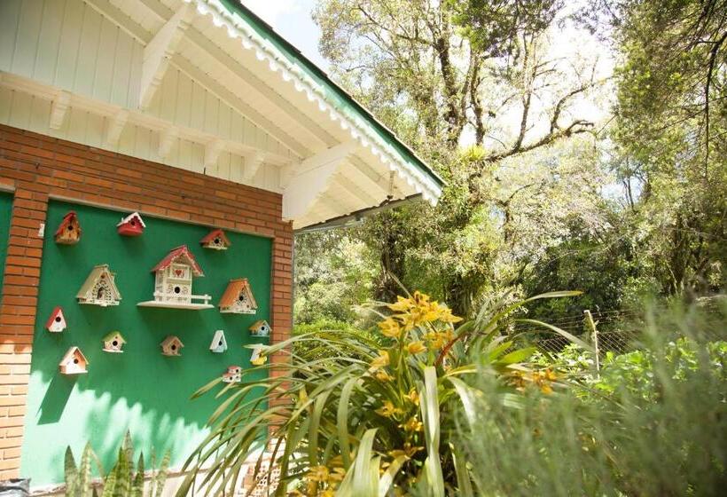 호텔 Pousada Ald' Mama