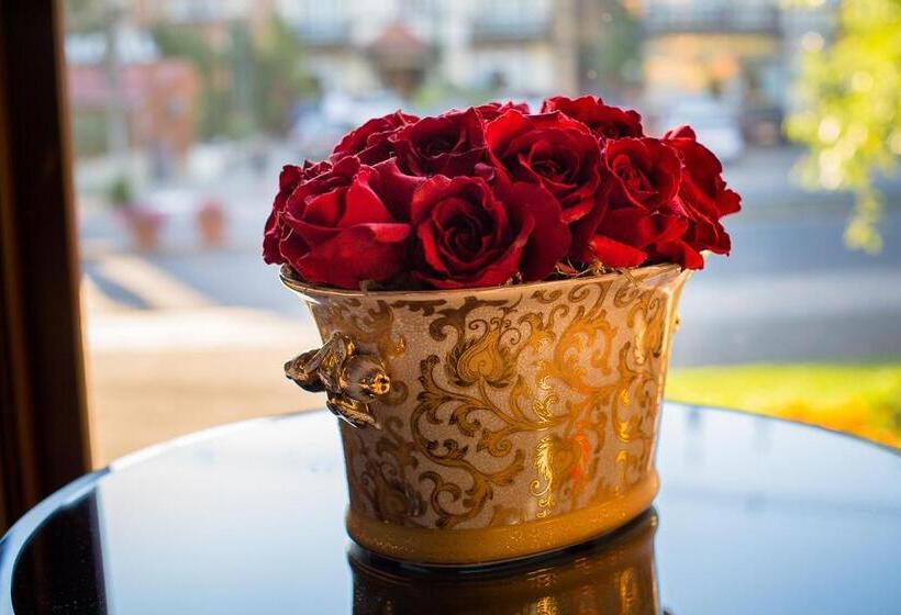 호텔 Pousada Vovó Carolina