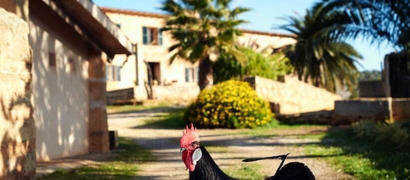 교외 호텔 Sos Ferres D En Morey