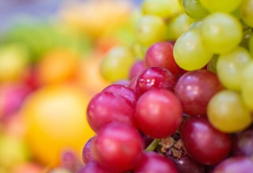 ホテル Vilage Inn All Inclusive Poços de Caldas