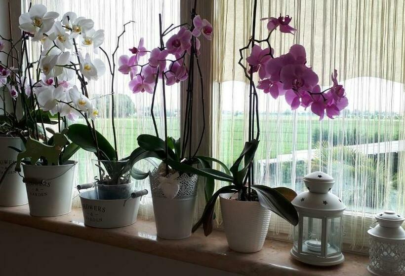 B&b A Casa Di Eleonora