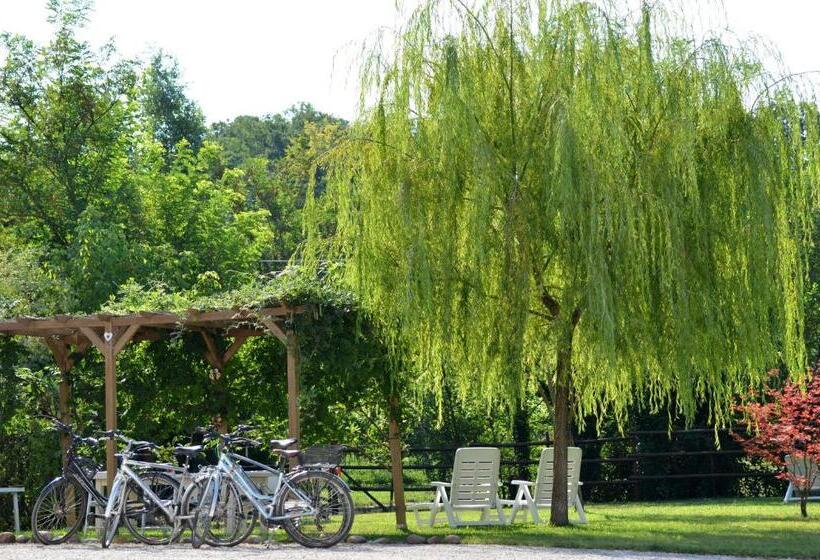 住宿加早餐  Bb Il Grande Salice Bike Friends