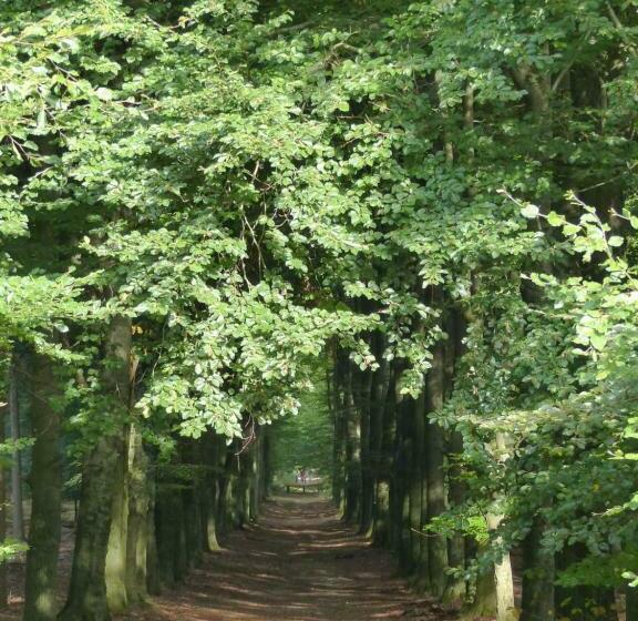 B&b Onder De Rode Beuk