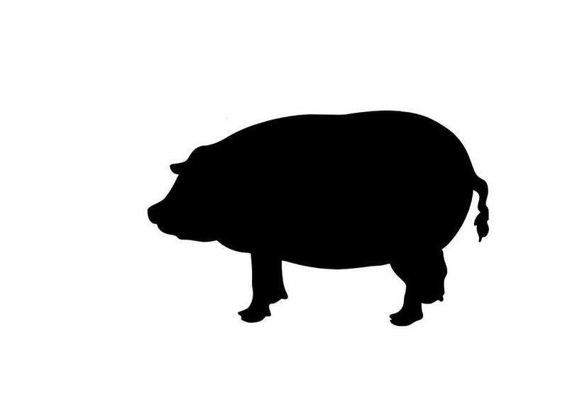 تختخواب و صبحانه Antiga Casa Do Porco