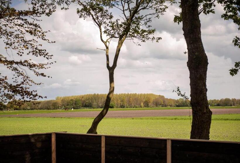 مبيت وإفطار Byonz