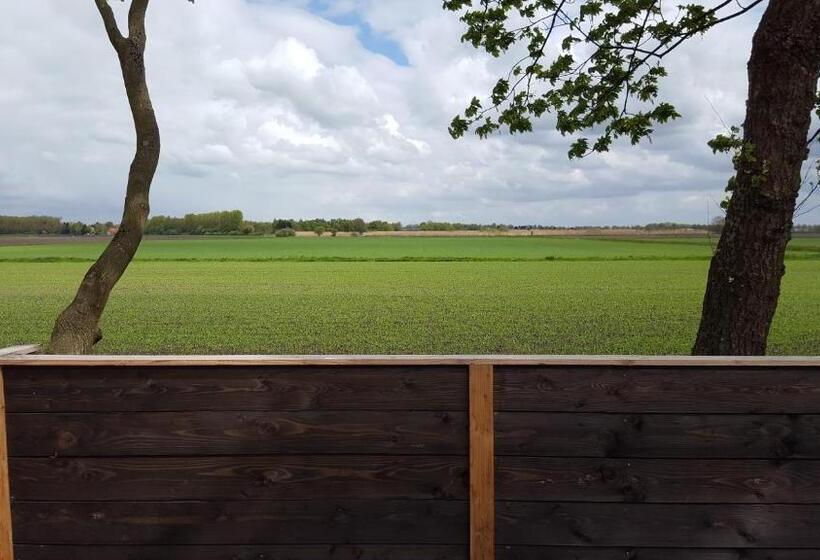 مبيت وإفطار Byonz