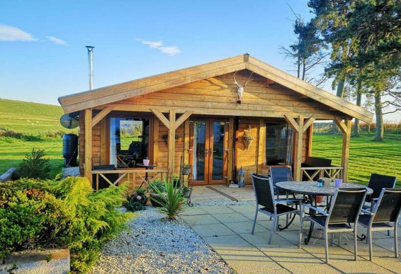 مبيت وإفطار Hillhaven Bed &breakfast