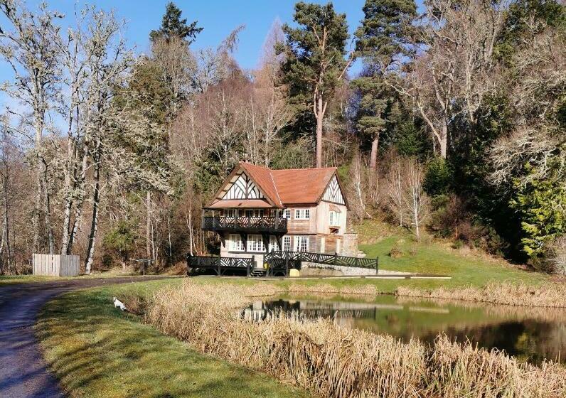 مبيت وإفطار Hillhaven Bed &breakfast