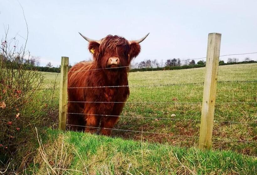 مبيت وإفطار Hillhaven Bed &breakfast