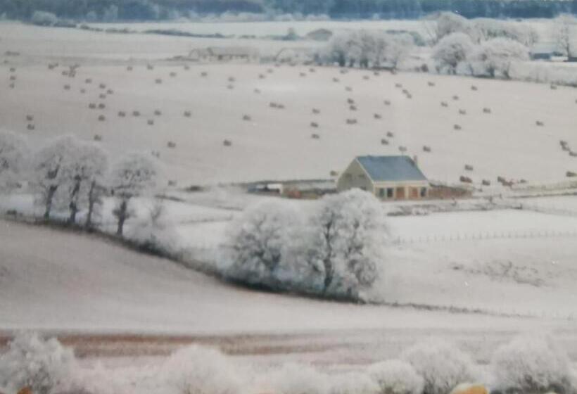 مبيت وإفطار Hillhaven Bed &breakfast