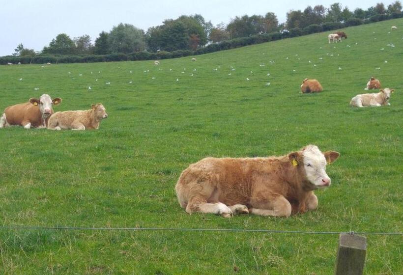 مبيت وإفطار Hillhaven Bed &breakfast