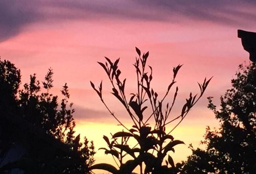 住宿加早餐 La Casetta