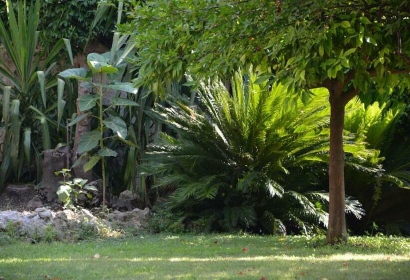 مبيت وإفطار Les Passiflores