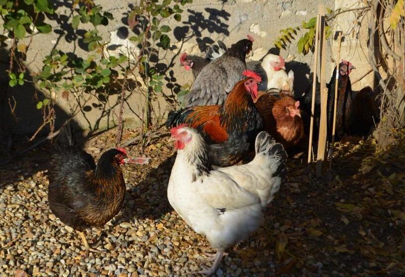 ベッドアンドブレックファースト Maison D Autrefois