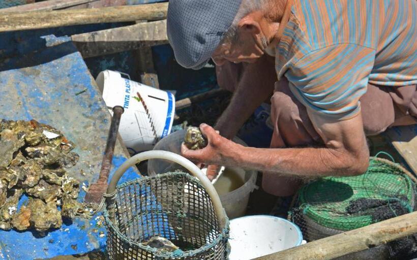 ベッドアンドブレックファースト Quinta Luz Do Sol