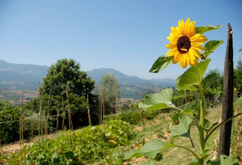 צימר Tana Libera Tutti 1 Nature, Yourself, Love