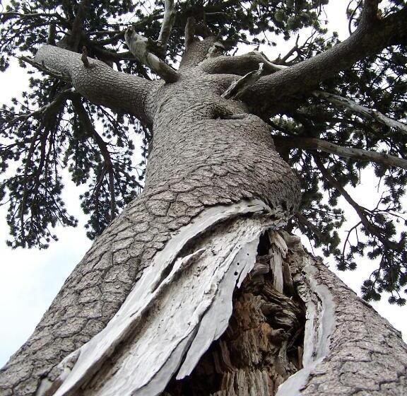 צימר Tana Libera Tutti 1 Nature, Yourself, Love