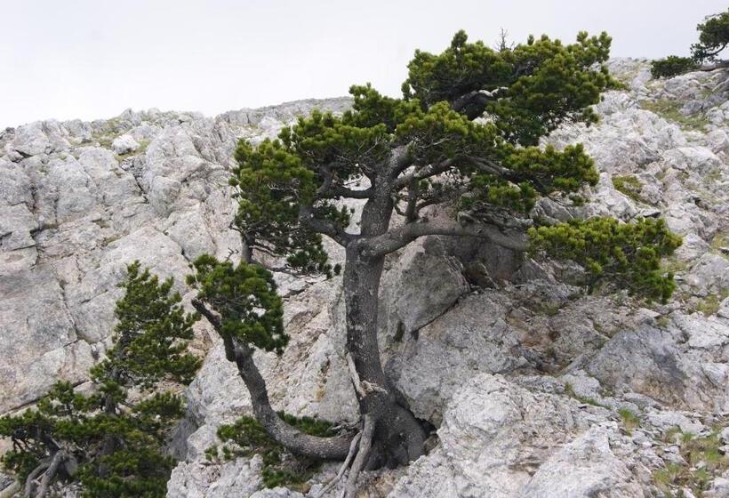 צימר Tana Libera Tutti 1 Nature, Yourself, Love