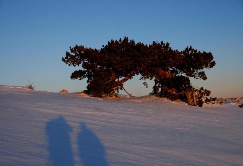 צימר Tana Libera Tutti 1 Nature, Yourself, Love