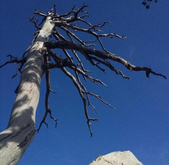 צימר Tana Libera Tutti 1 Nature, Yourself, Love