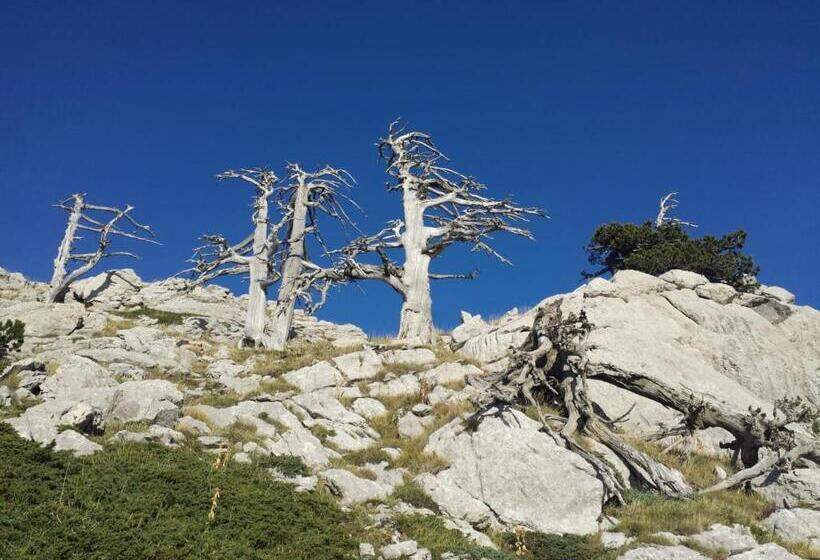 צימר Tana Libera Tutti 1 Nature, Yourself, Love