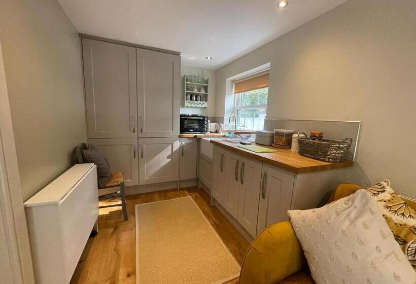 ベッドアンドブレックファースト Ty Llew Lodge